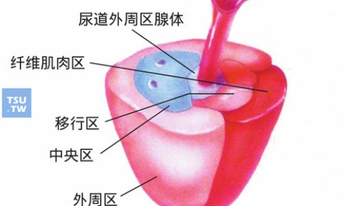天舒片作用-【天舒片对身体有那些危害和好处】天舒片功效到底是什么样的 - 天舒片功效到底是什么网